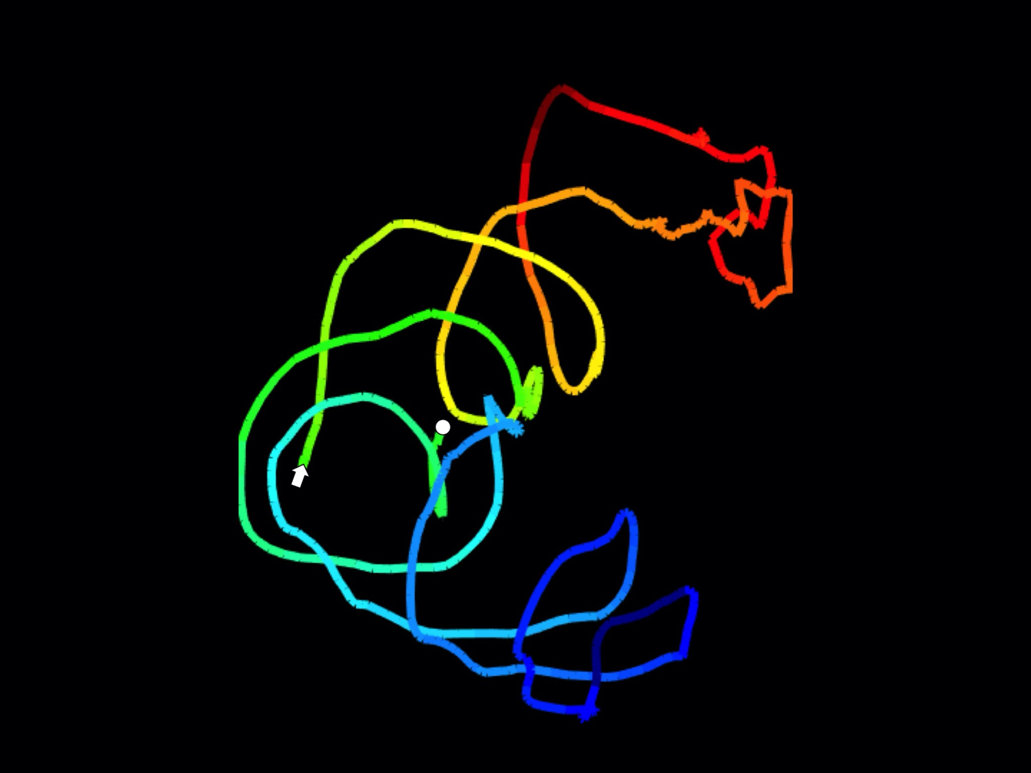 mobile_bacteria